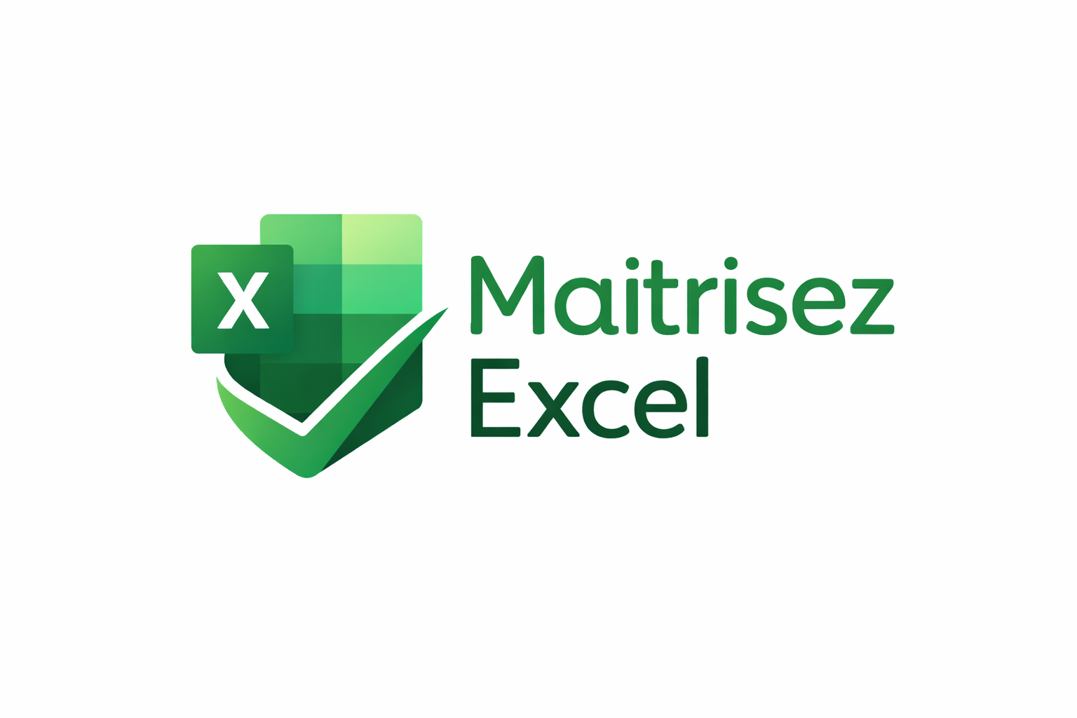 Maitrisez Excel